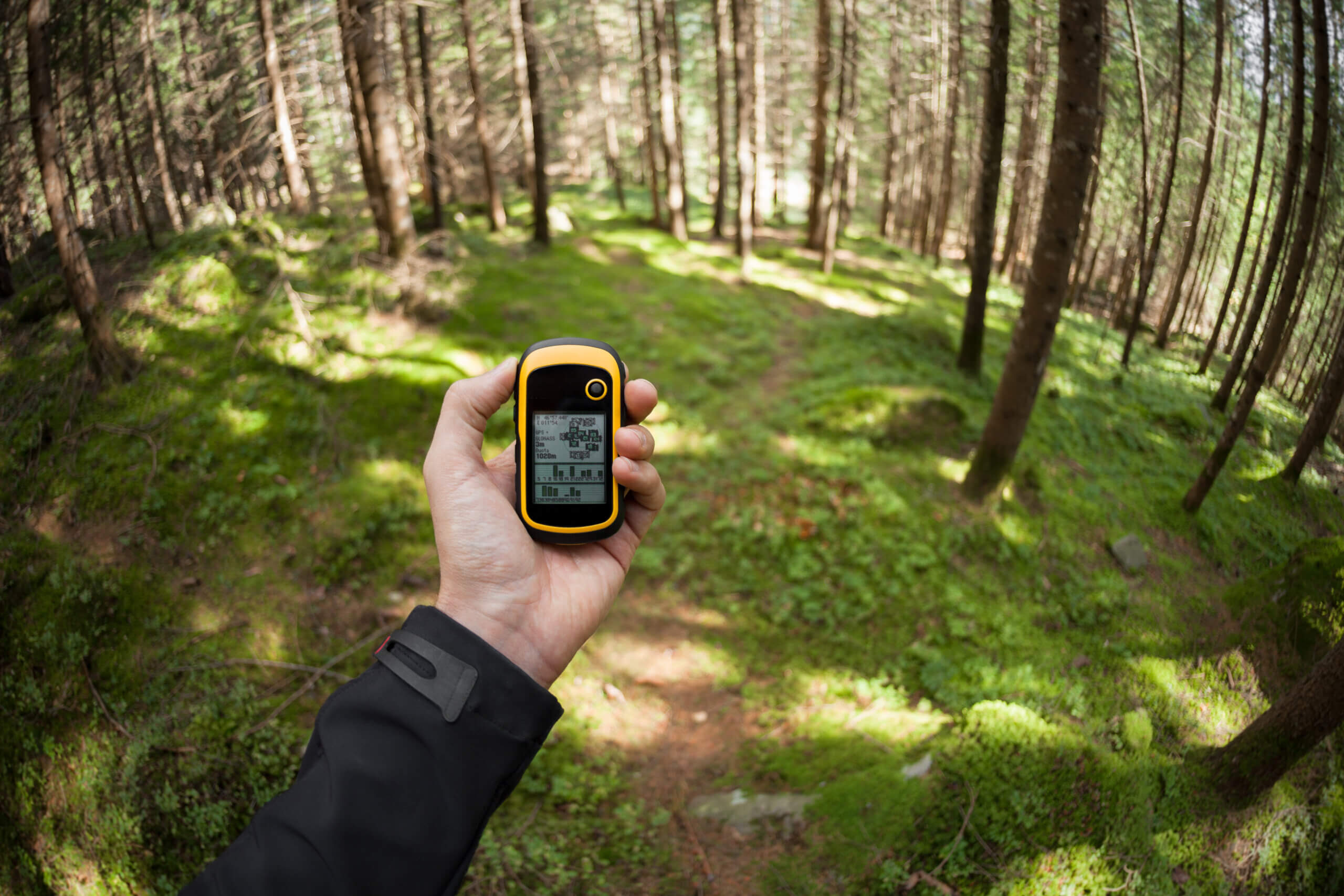 Im Wald lässt sich jemand den Weg anhand von GPS Koordinaten anzeigen. Abenteuer-Tour im Naturpark Solling