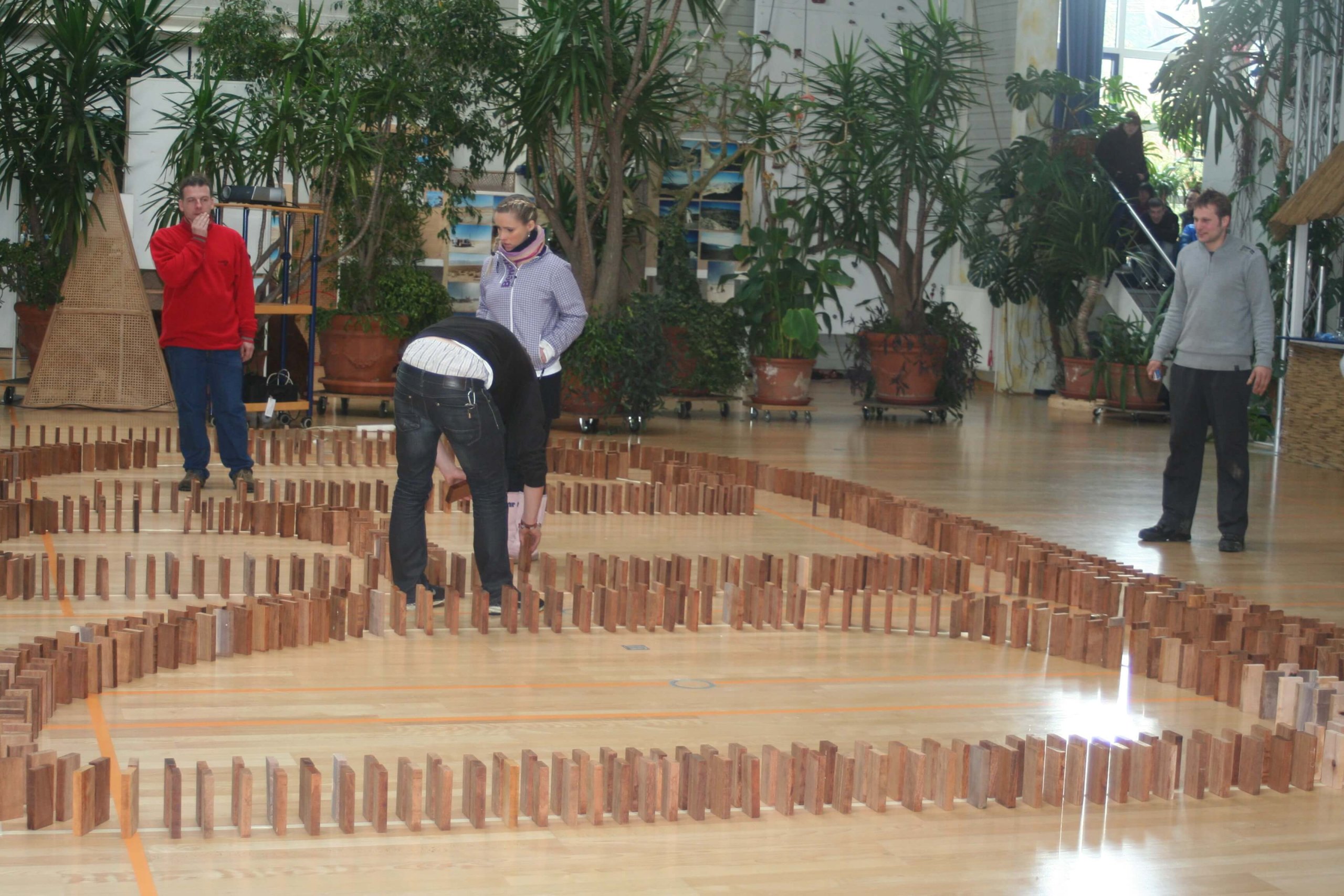 Auf dem Boden einer Turnhalle sind viele exakt gleiche Holz-Stücke wie Dominosteine in gewundenen Reihen aufgestellt. Teambuilding Maßnahme Riesen Domino im Landhotel am Rothenberg