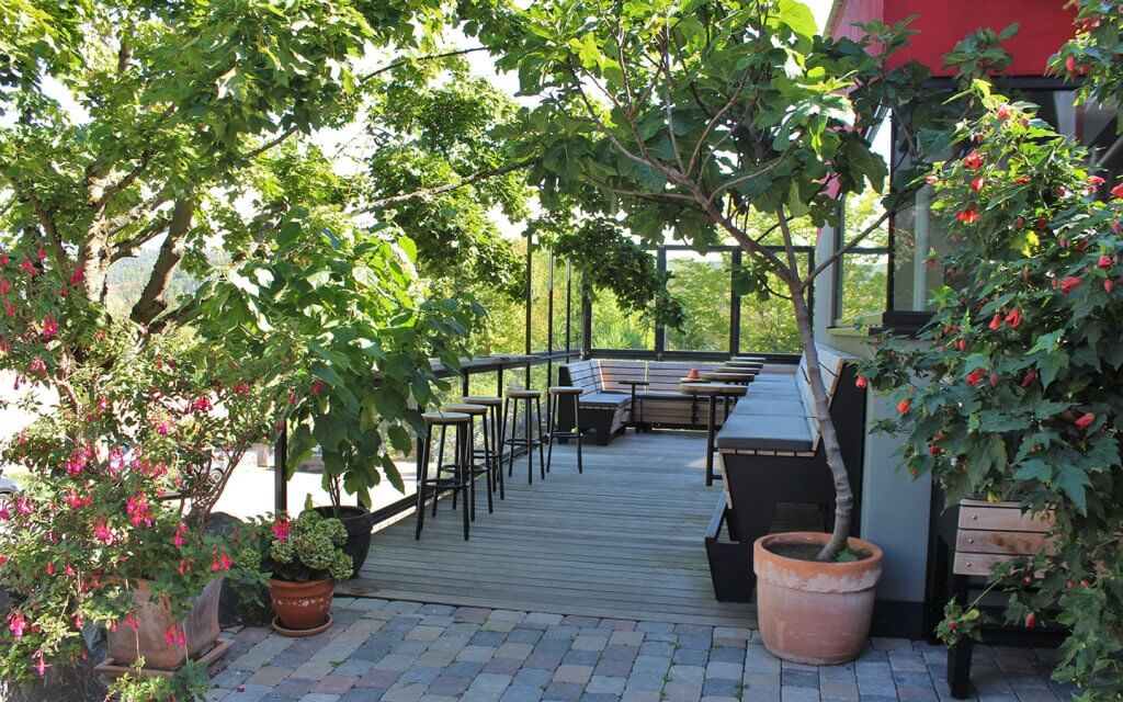 Terrasse, Holzbank an der Wand, halbhohe Wand aus Glas, Barhocker, viele große Pflanzen in Kübeln.